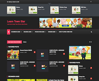 learntownstar.com